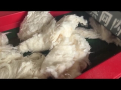 800F รุ่น 6 มิลลิเมตร ช่องจอ เครื่องตัดผ้าใบ เครื่องตัดบด